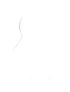 Use the same pencil technique to gauge the under slope of the forehead as well as the angle of the nose. Round out the intersections of these 3 lines. Don't worry about the length of the nose yet, just make the line.