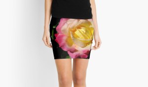 Macro Magenta and Yellow Rose Zazzle
